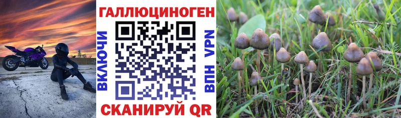 Галлюциногенные грибы Psilocybine cubensis  Пыть-Ях 