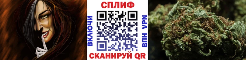 Канабис семена  наркота  Пыть-Ях 